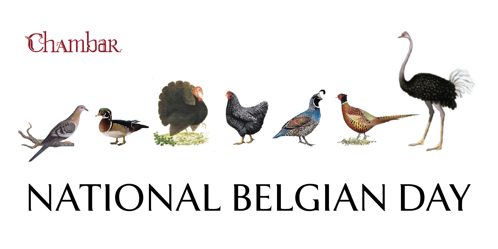 National Belgian Day Chambar